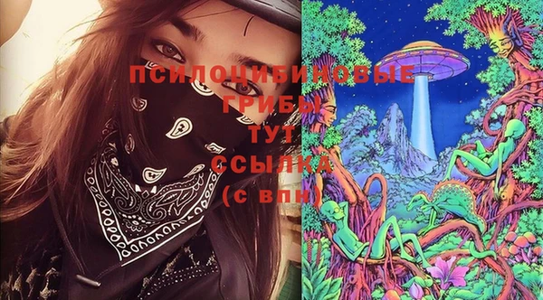 PSILOCYBIN Алексеевка