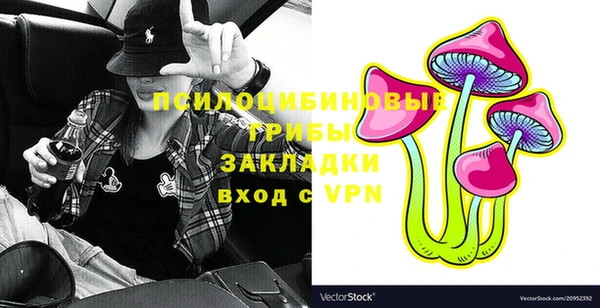 PSILOCYBIN Алексеевка