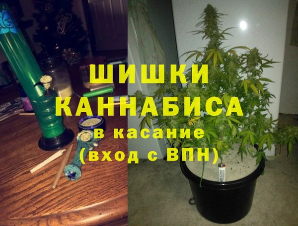 PSILOCYBIN Алексеевка