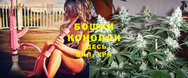 PSILOCYBIN Алексеевка