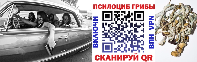 блэк спрут сайт  Уссурийск  Галлюциногенные грибы Cubensis  что такое наркотик 